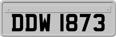DDW1873