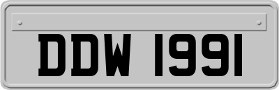 DDW1991