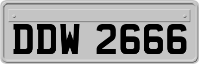 DDW2666