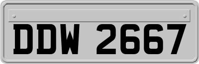 DDW2667