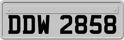 DDW2858