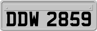 DDW2859
