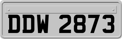 DDW2873