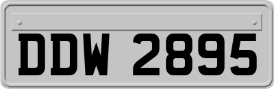 DDW2895