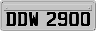 DDW2900