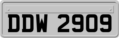 DDW2909