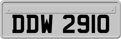 DDW2910