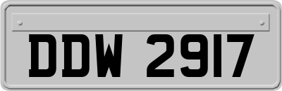 DDW2917