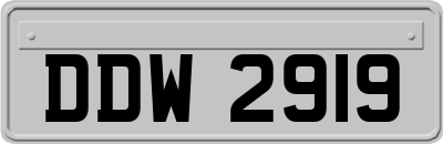 DDW2919