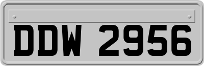 DDW2956