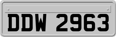 DDW2963