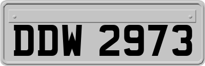 DDW2973