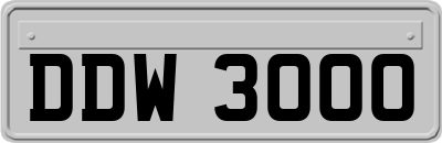 DDW3000
