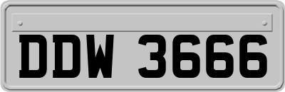 DDW3666