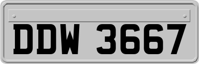 DDW3667