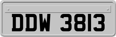 DDW3813
