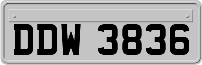 DDW3836