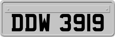 DDW3919