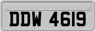 DDW4619
