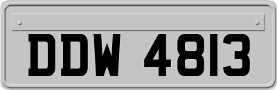 DDW4813
