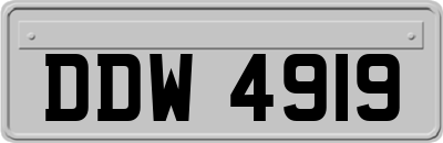 DDW4919