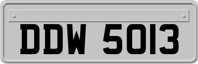 DDW5013
