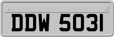 DDW5031