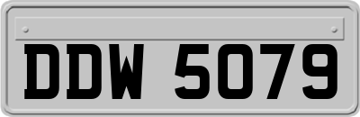 DDW5079