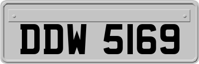 DDW5169
