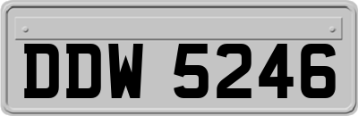 DDW5246