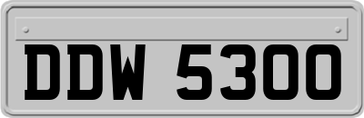 DDW5300