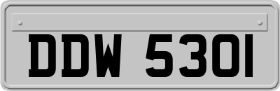 DDW5301