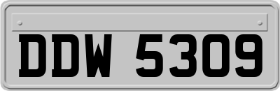 DDW5309
