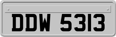 DDW5313