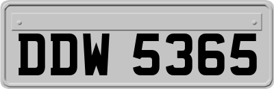 DDW5365