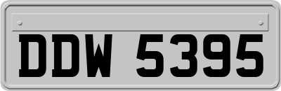 DDW5395