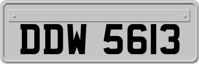 DDW5613