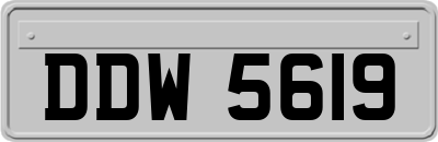 DDW5619