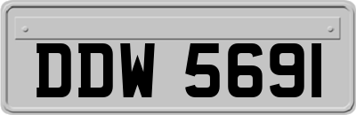 DDW5691