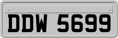 DDW5699