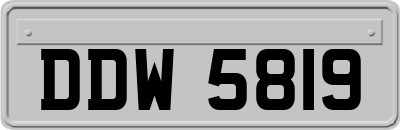 DDW5819