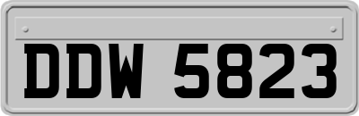 DDW5823