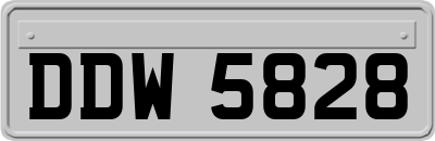 DDW5828