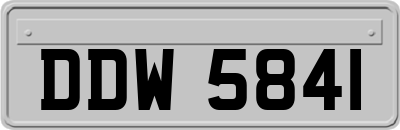 DDW5841