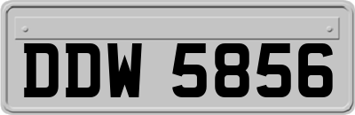 DDW5856
