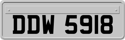 DDW5918