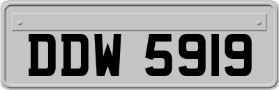 DDW5919