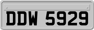 DDW5929