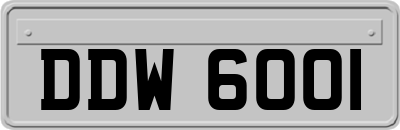 DDW6001