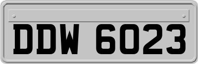 DDW6023